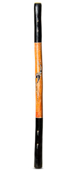 Brendan Porteous Didgeridoo (JW587)
